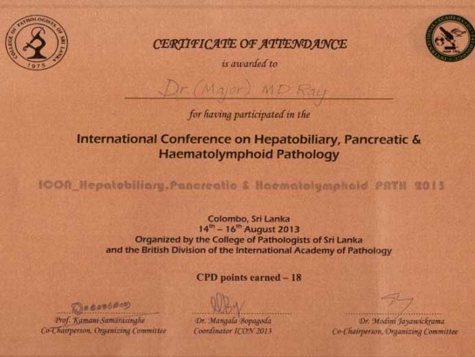 Awards & Achievement 7